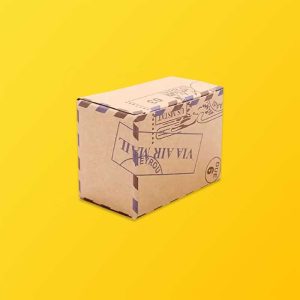 Custom-Design-Kraft-Packaging-box-1