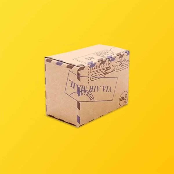 Custom-Design-Kraft-Packaging-box-1