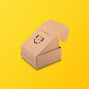 Custom-Kraft-Mailer-Boxes-1