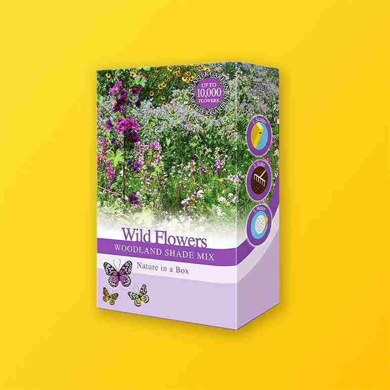 Custom Wildflower Seed Boxes