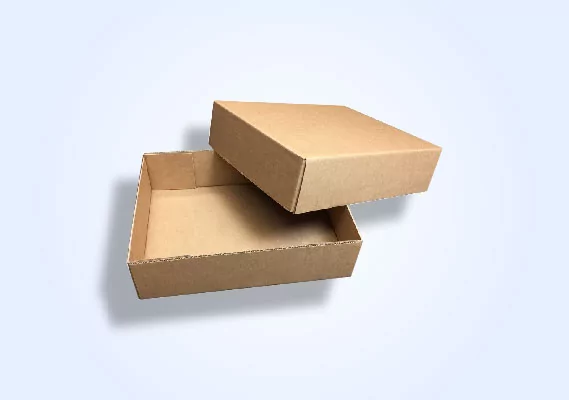 custom-corrugated-cardboard-lid-tray-boxes
