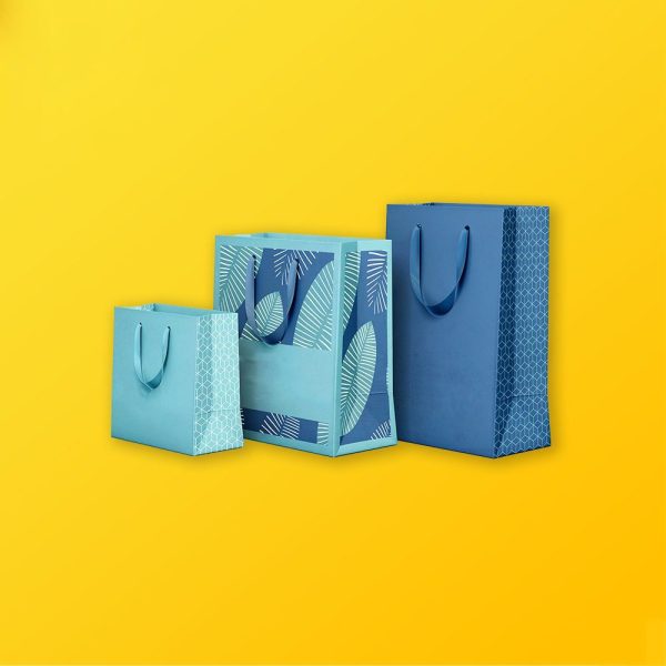 Custom Shopping bags Silver Edge Packaging