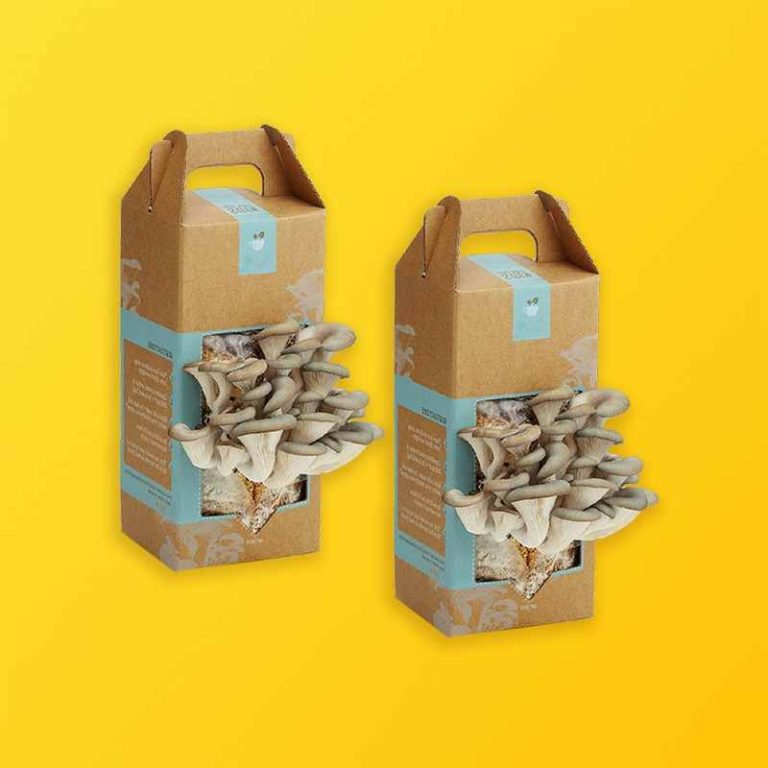 Custom Mushroom Boxes Silver Edge Packaging