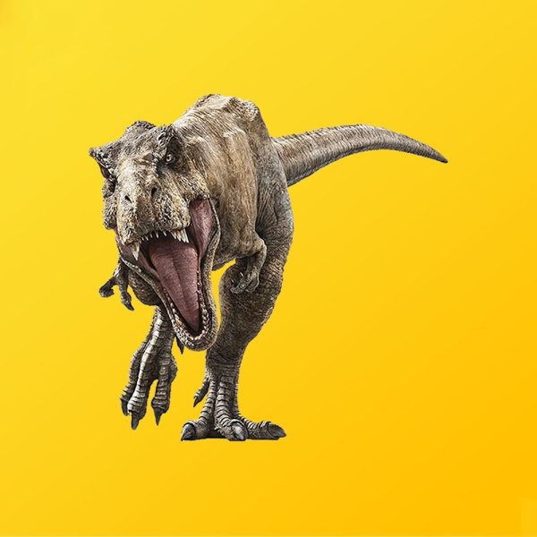 Custom Wall Stickers Silver Edge Packaging