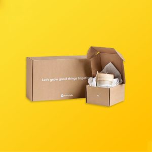 Eco Friendly Mailer Boxes