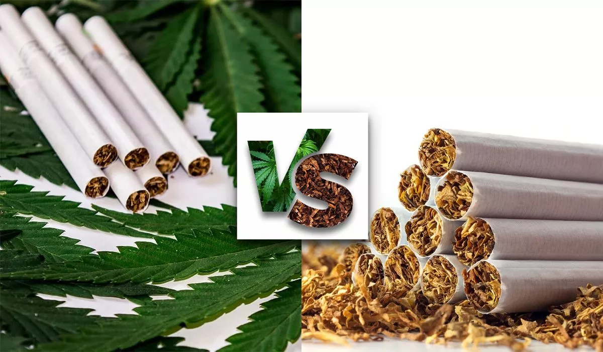 CBD-Cigarettes-Vs_-Tobacco-Cigarettes-GCo-The-Main-Difference-Between-CBD-and-Nicotine