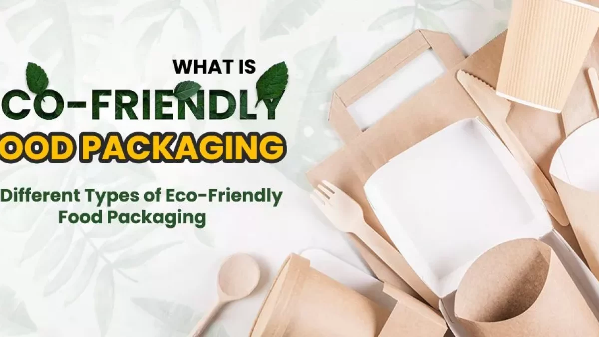 https://www.silveredgepackaging.com/wp-content/uploads/What-Is-Eco-Friendly-Food-Packaging-Different-Types-of-Eco-Friendly-Food-Packaging-1200x675.webp