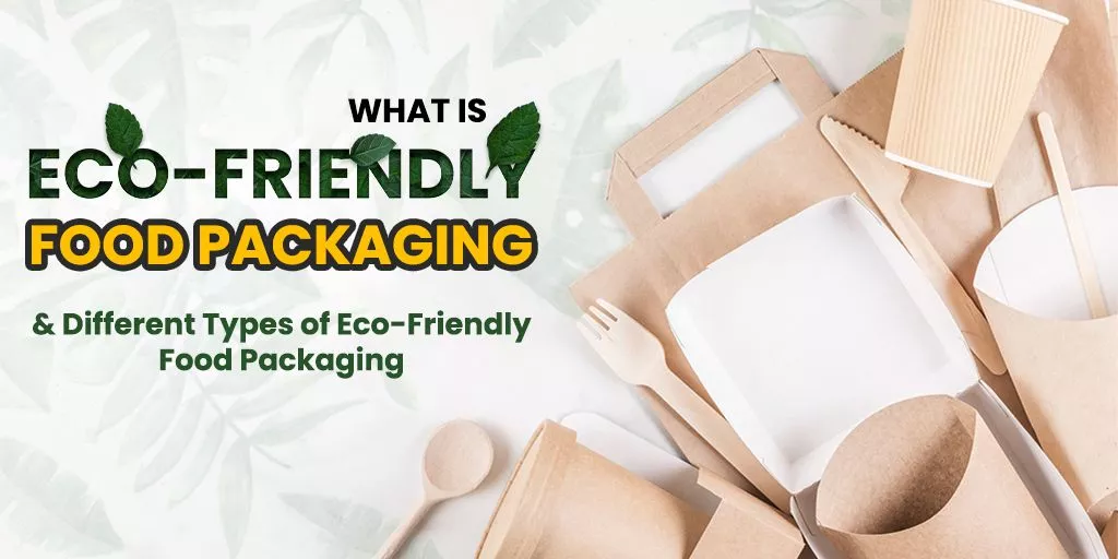 Eco Friendly Food Packaging