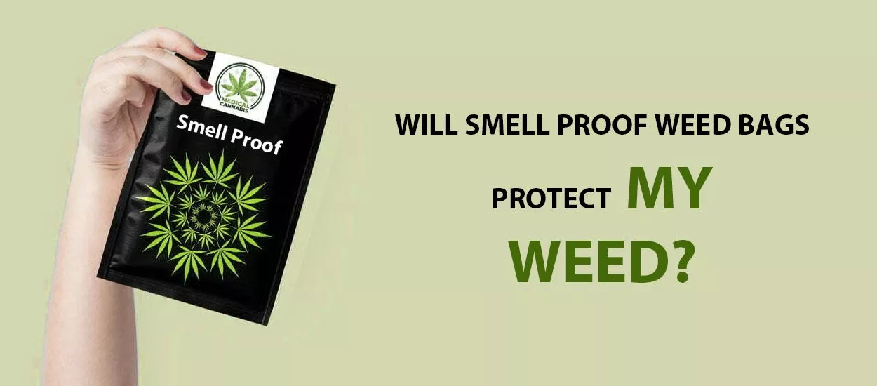 Will Smell Proof Weed Bags Protect My Weed FAQ