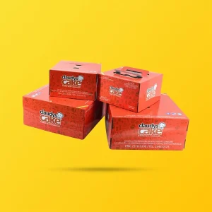 custom-frozen-cake-boxes-1